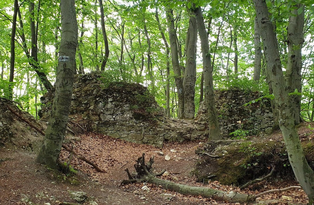 Zamek Ostrężnik景点图片