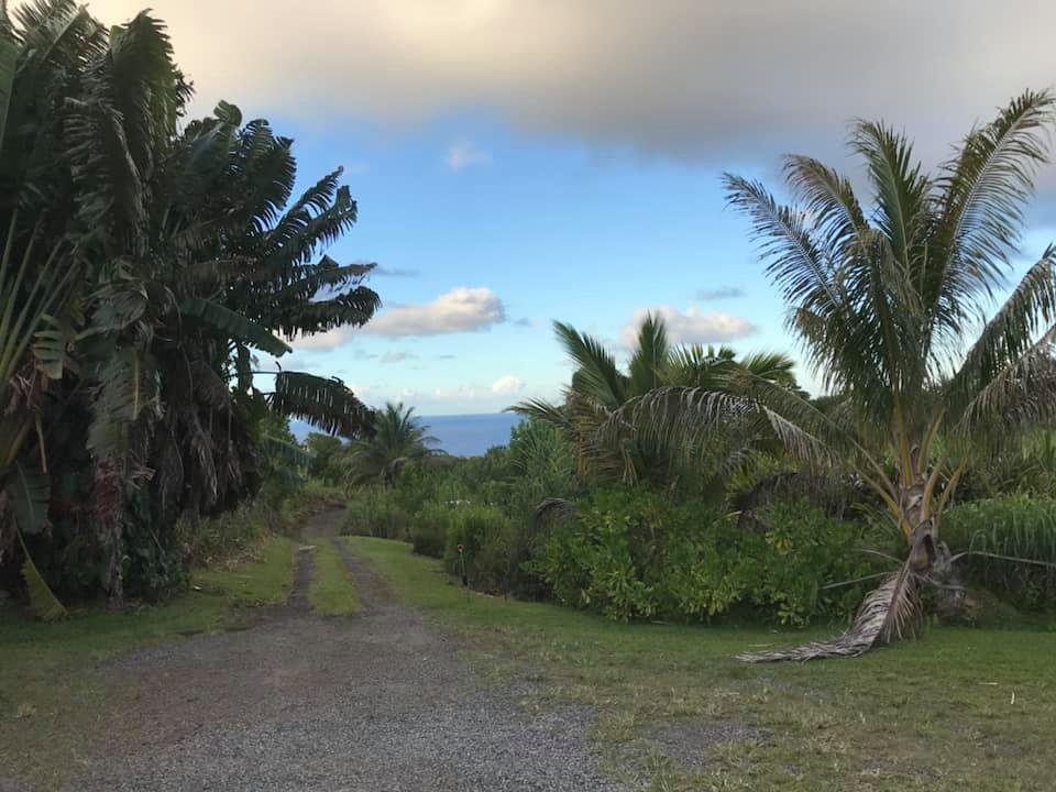 Hamakua Guesthouse-酒店景观