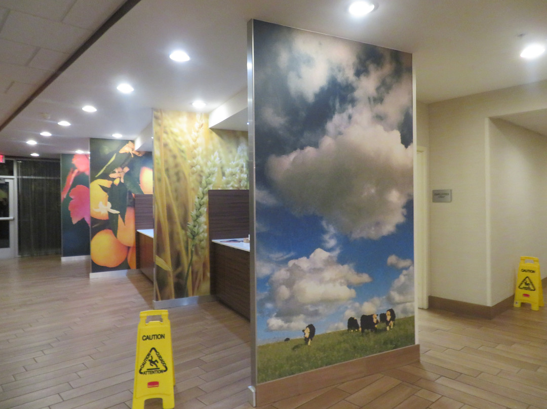 Fairfield by Marriott Inn & Suites Ithaca主图