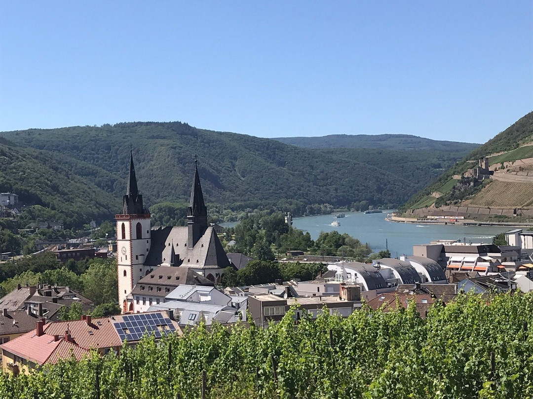 Burg Klopp景点图片