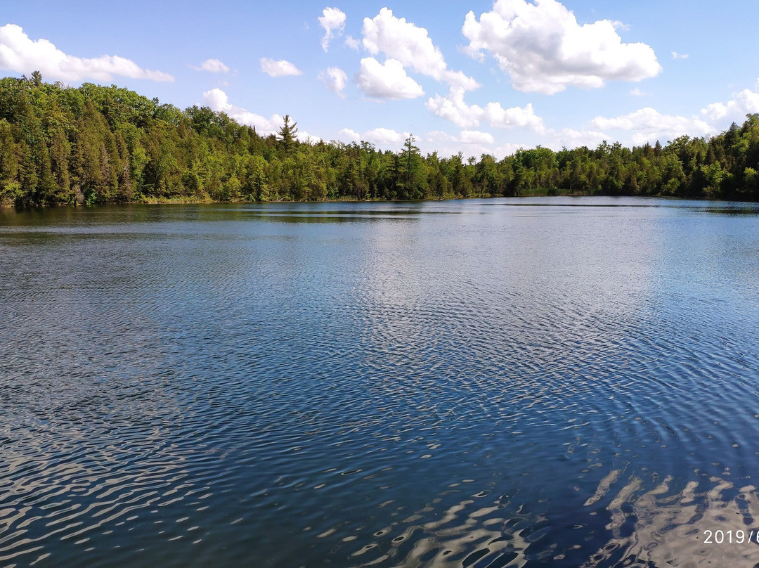 Crawford Lake Conservation Area景点图片