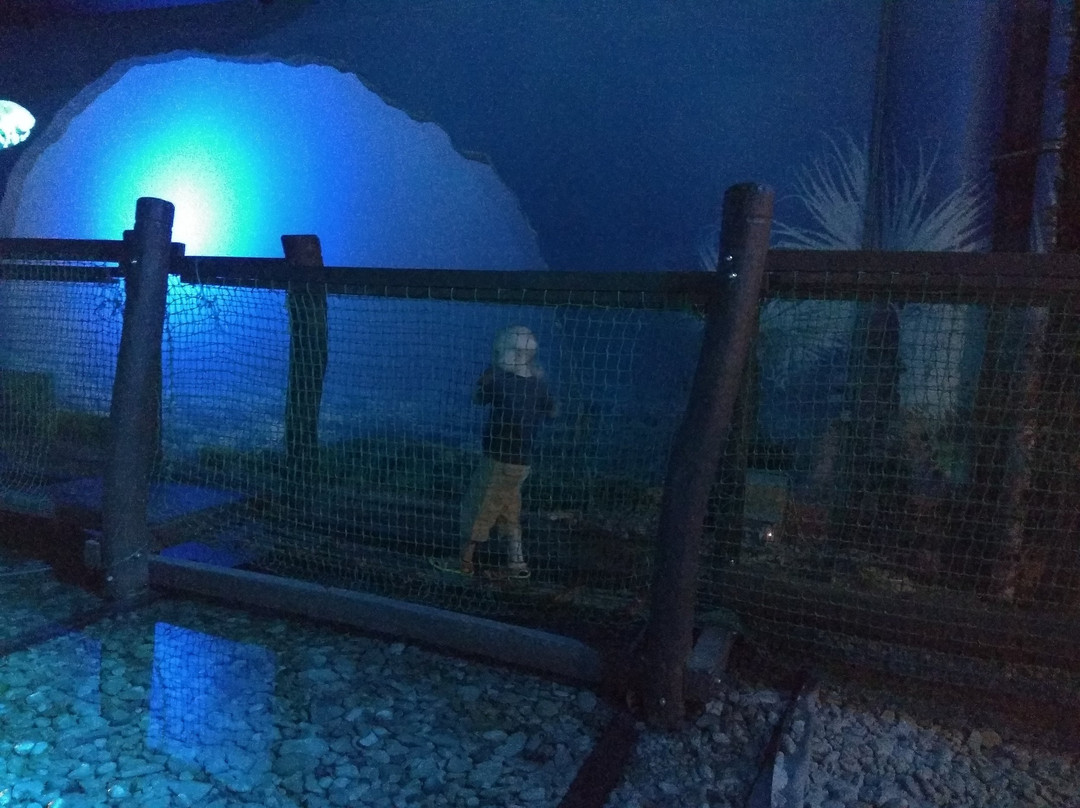 DinoPark Plaza Liberec-利贝雷茨必去景点