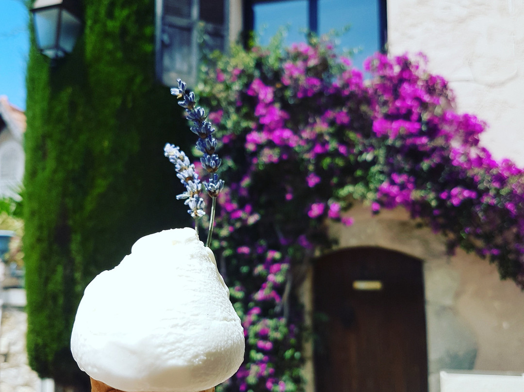 Le Castellet Village Médiéval景点图片