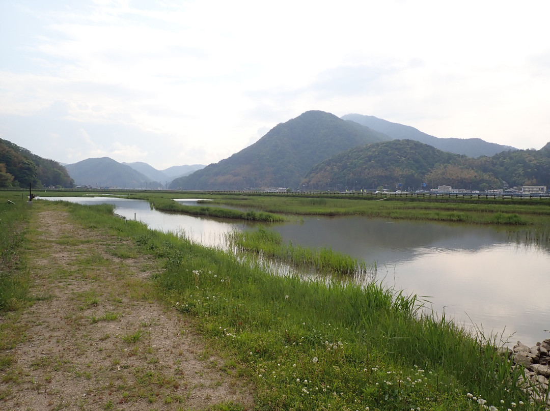Hachigoro's Tojima Wetland-丰冈市必去景点