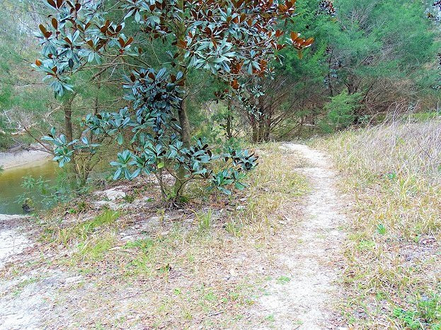 Bohemian Park-费尔霍普必去景点