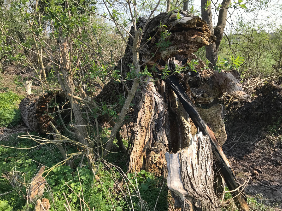 Straussenfarm Mhou-Rulzheim必去景点