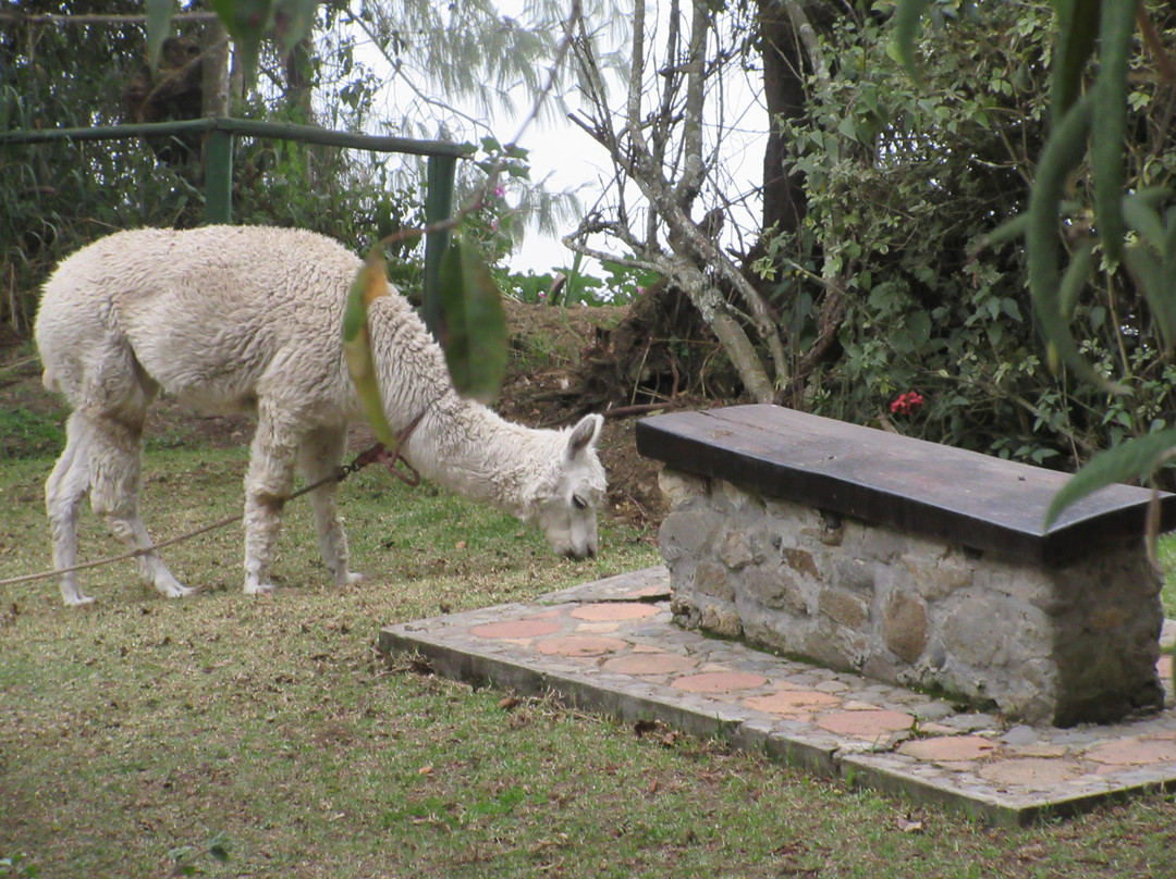 Posada Ingapirca主图