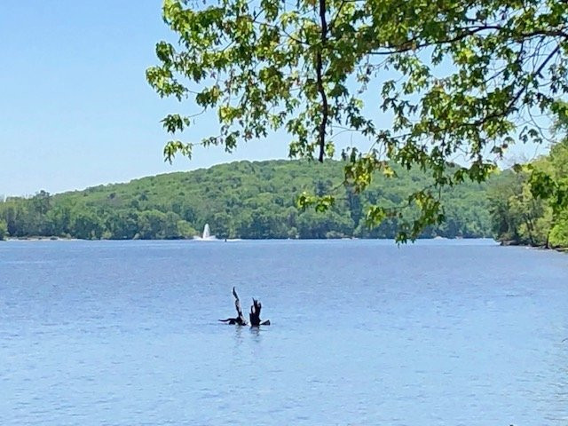 Chester-Hadlyme Ferry-Hadlyme必去景点