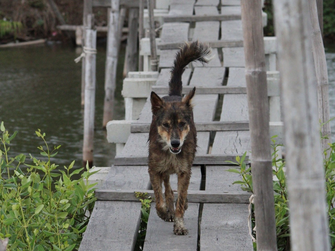 Ban Khun Samut Chin Museum-帕沙姆佛塔必去景点