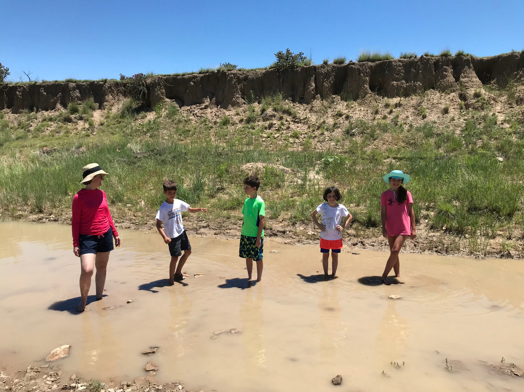 Dinosaur Quarry-Kenton必去景点
