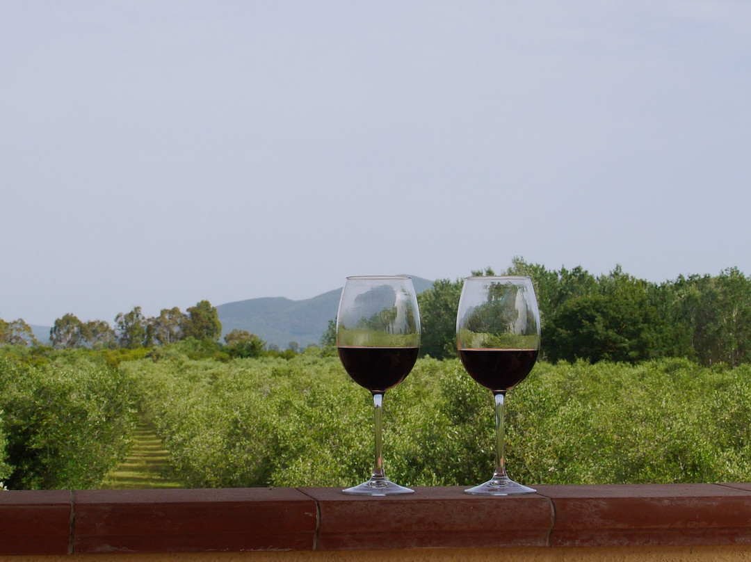 Agriturismo Beveraggio主图
