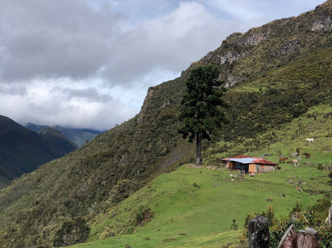 Dulima Tour Travel-萨伦托必去景点