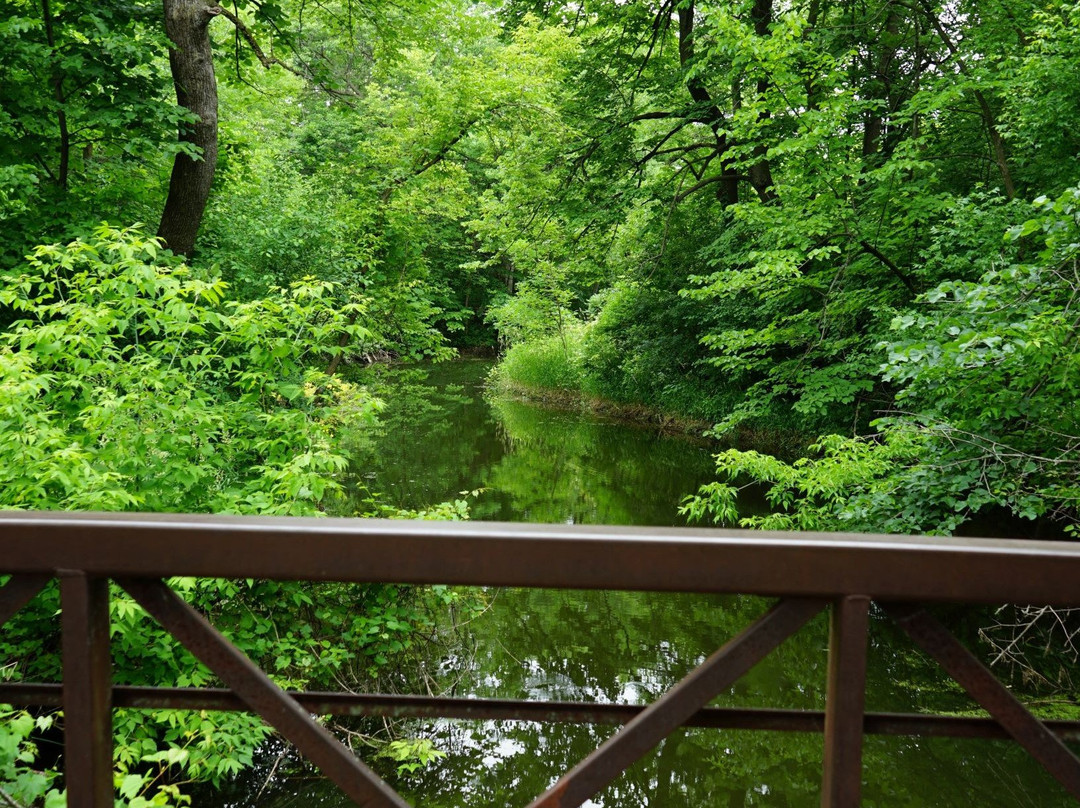 Cleary Lake Regional Park-Prior Lake必去景点