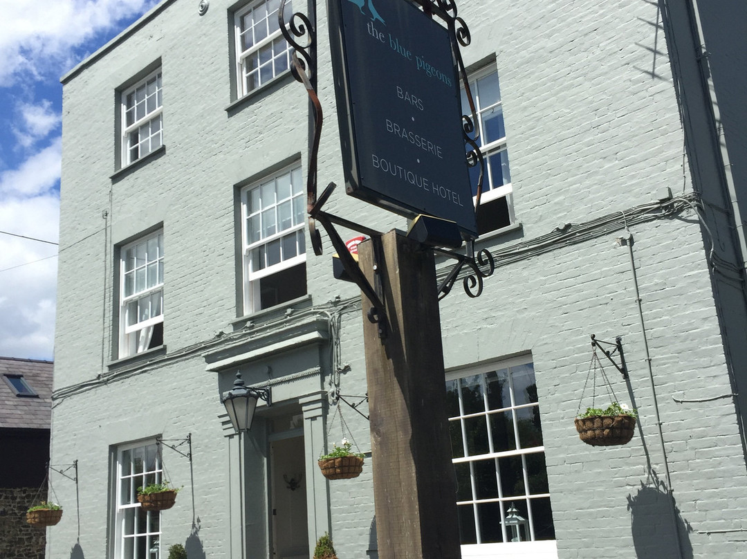 The Blue Pigeons主图