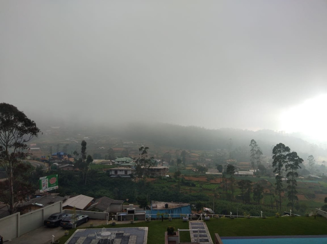 Hilldale Retreat主图