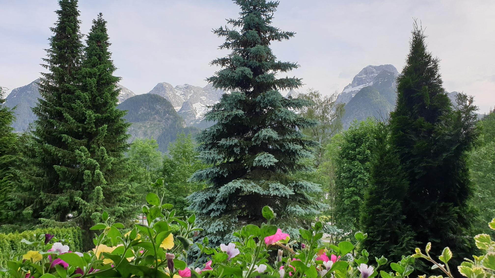 Haus Patricia-酒店景观