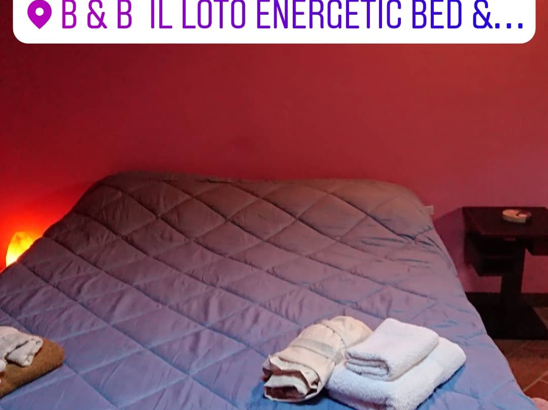 Il Loto Energetic Bed & Breakfast主图
