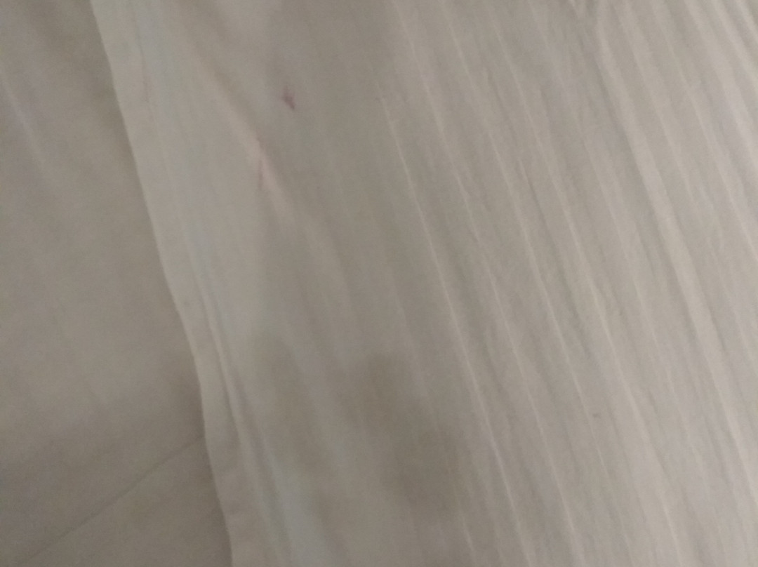 Renest Tirupati主图