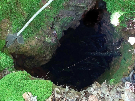 Pickwick Landing State Park-Pickwick Dam必去景点