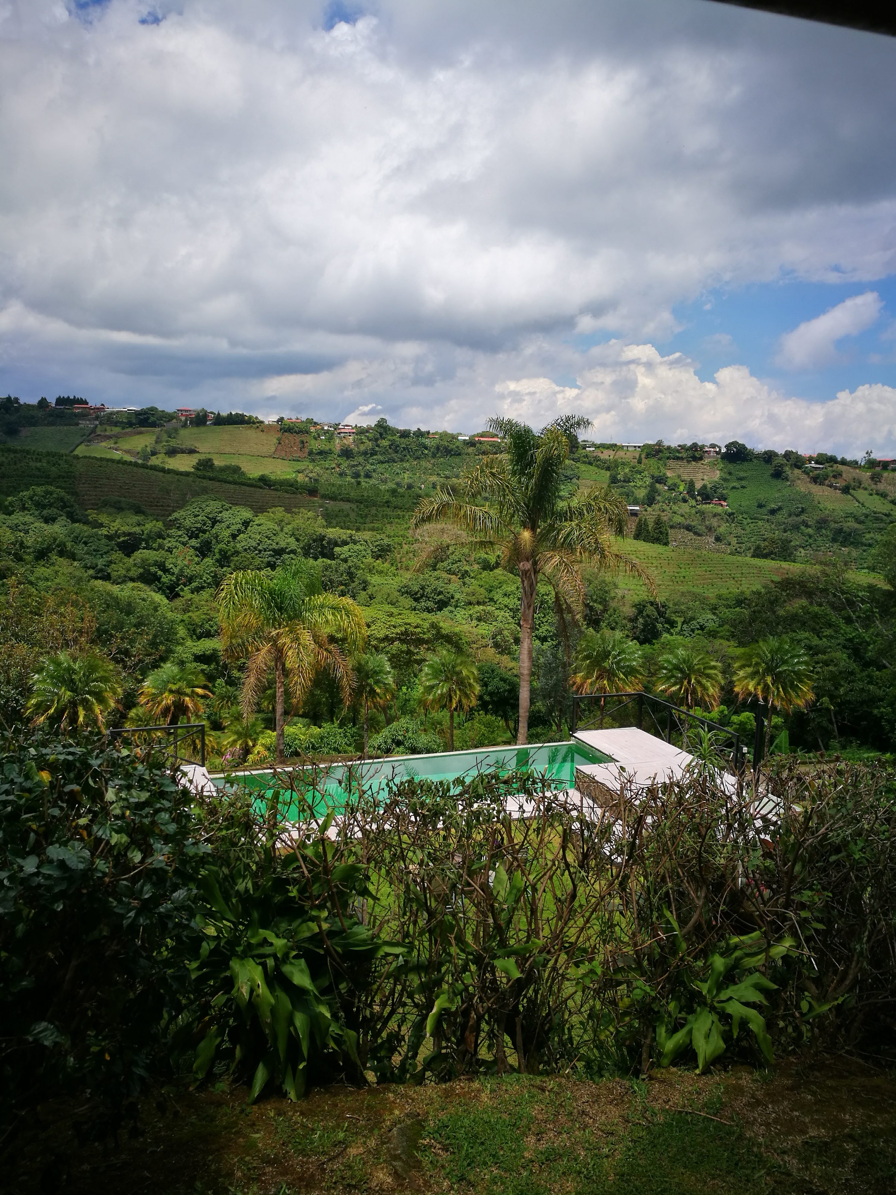Hotel Mango Valley-泳池