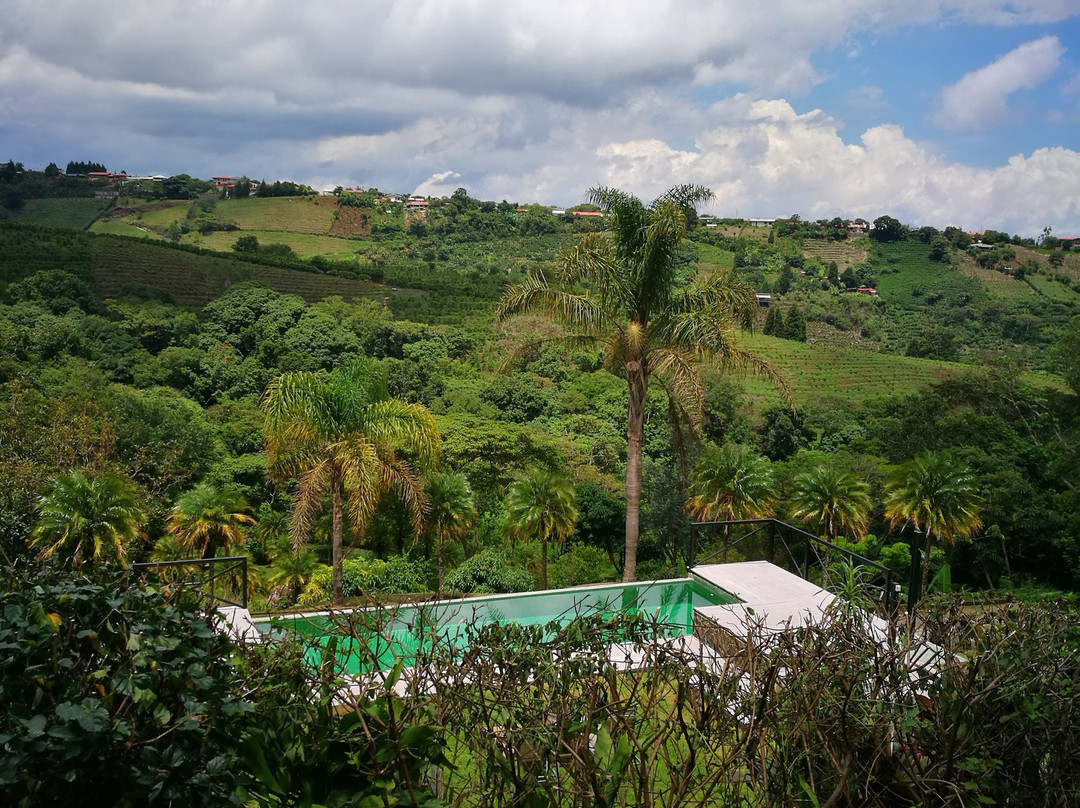 Hotel Mango Valley主图