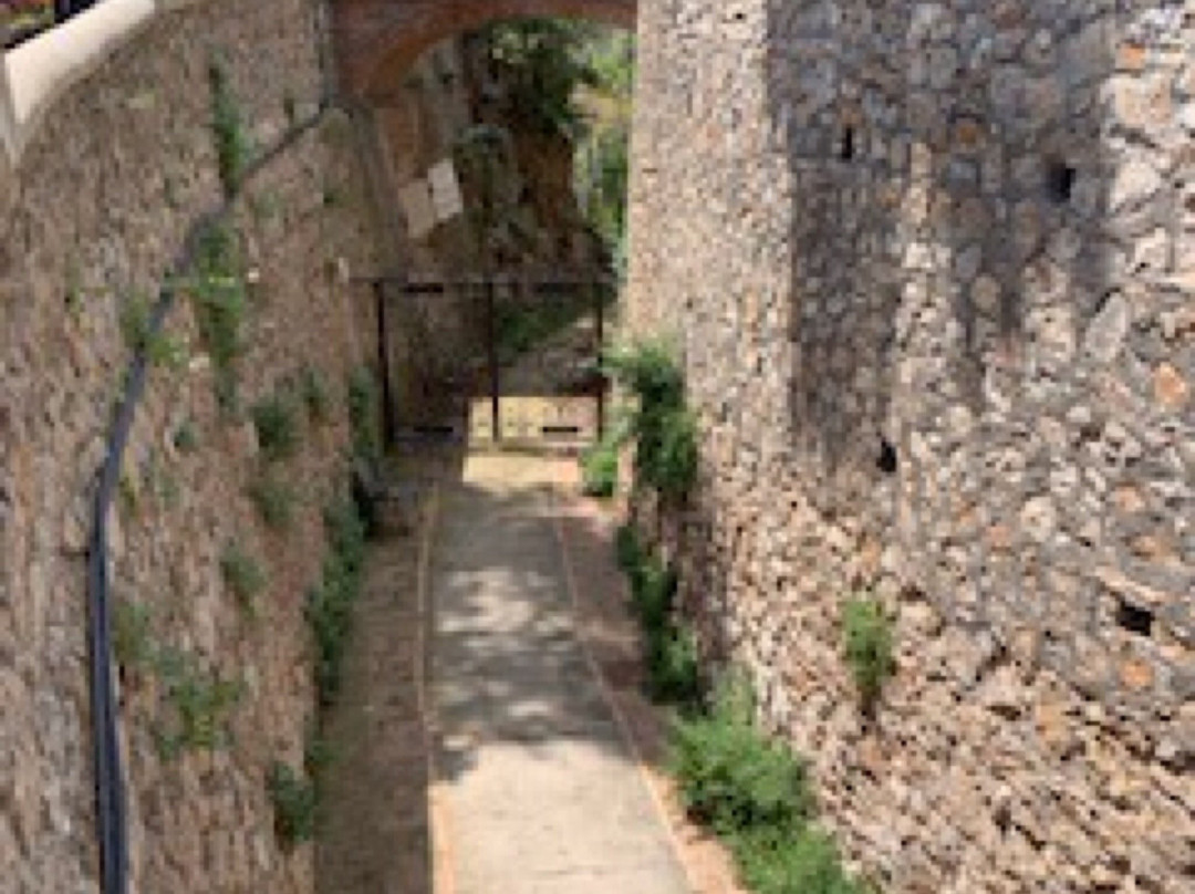 Villa San Michele景点图片