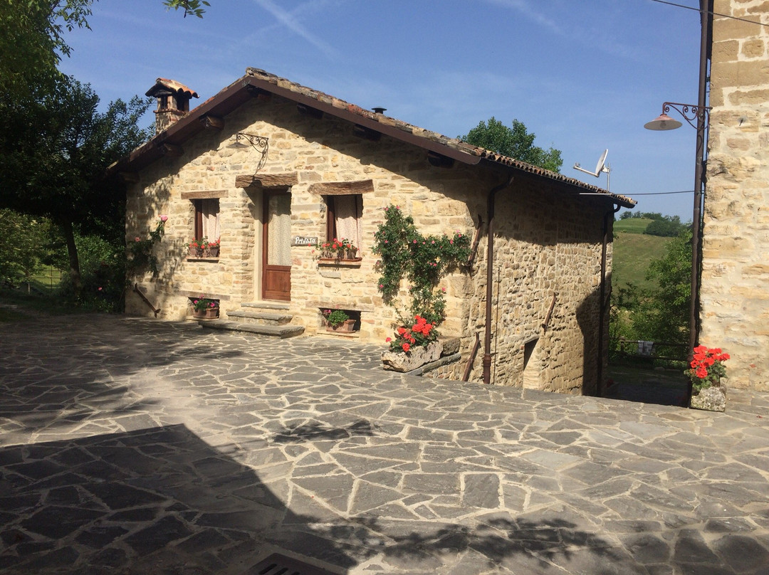 Agriturismo Marzanella主图