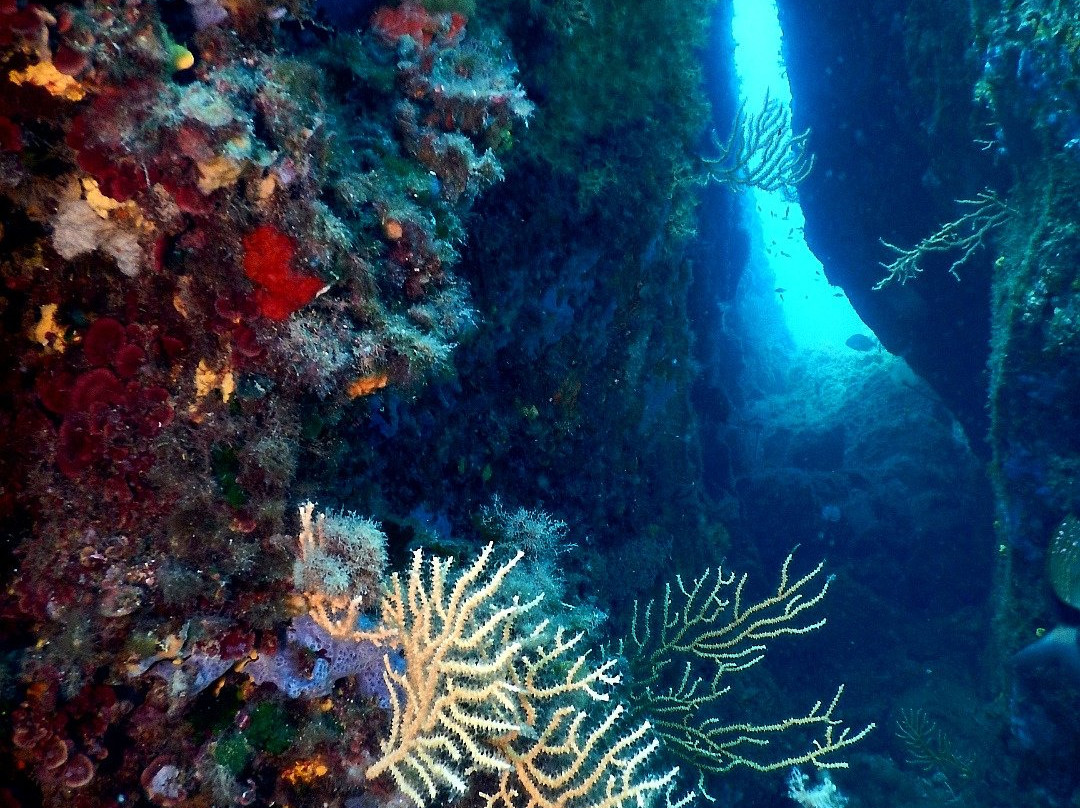Sottolonda Diving Center-Capoliveri必去景点