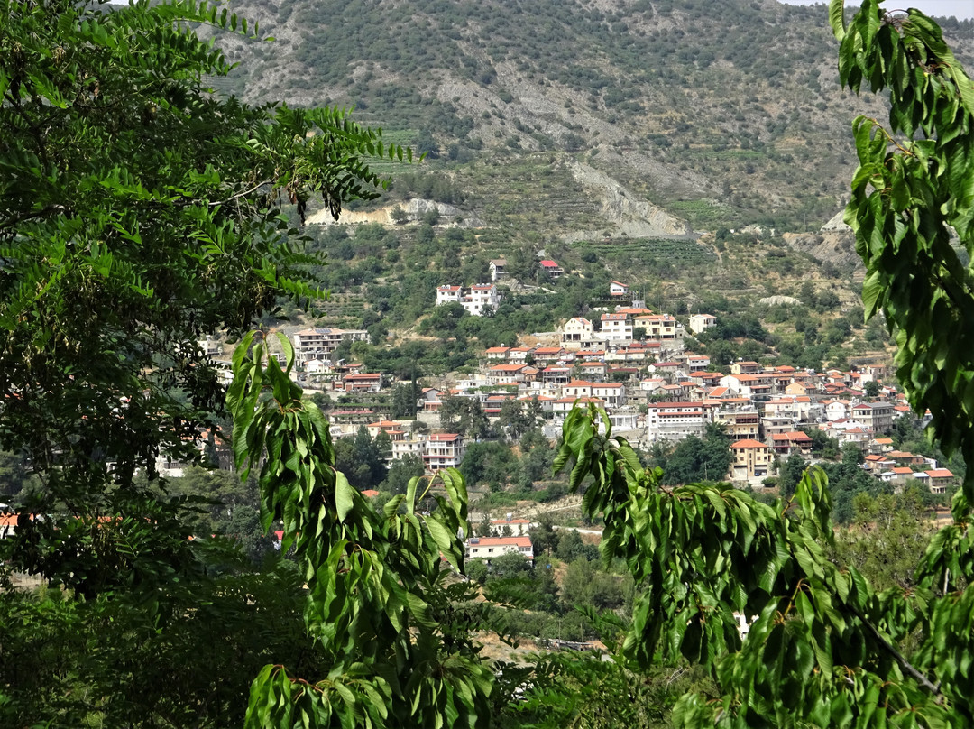 Rodon Hotel & Resort主图