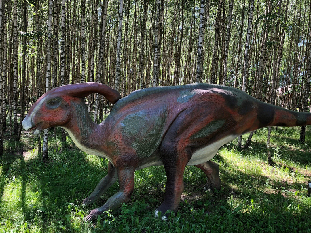 Dino Parkas Radailiai景点图片