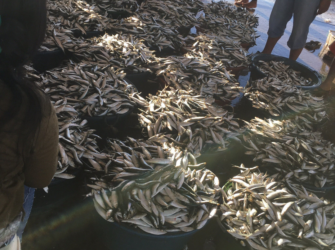 Estancia Fish Port-Estancia必去景点