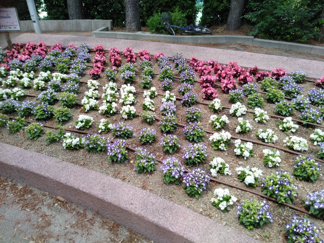 Hattori Ryokuchi Park-丰中市必去景点