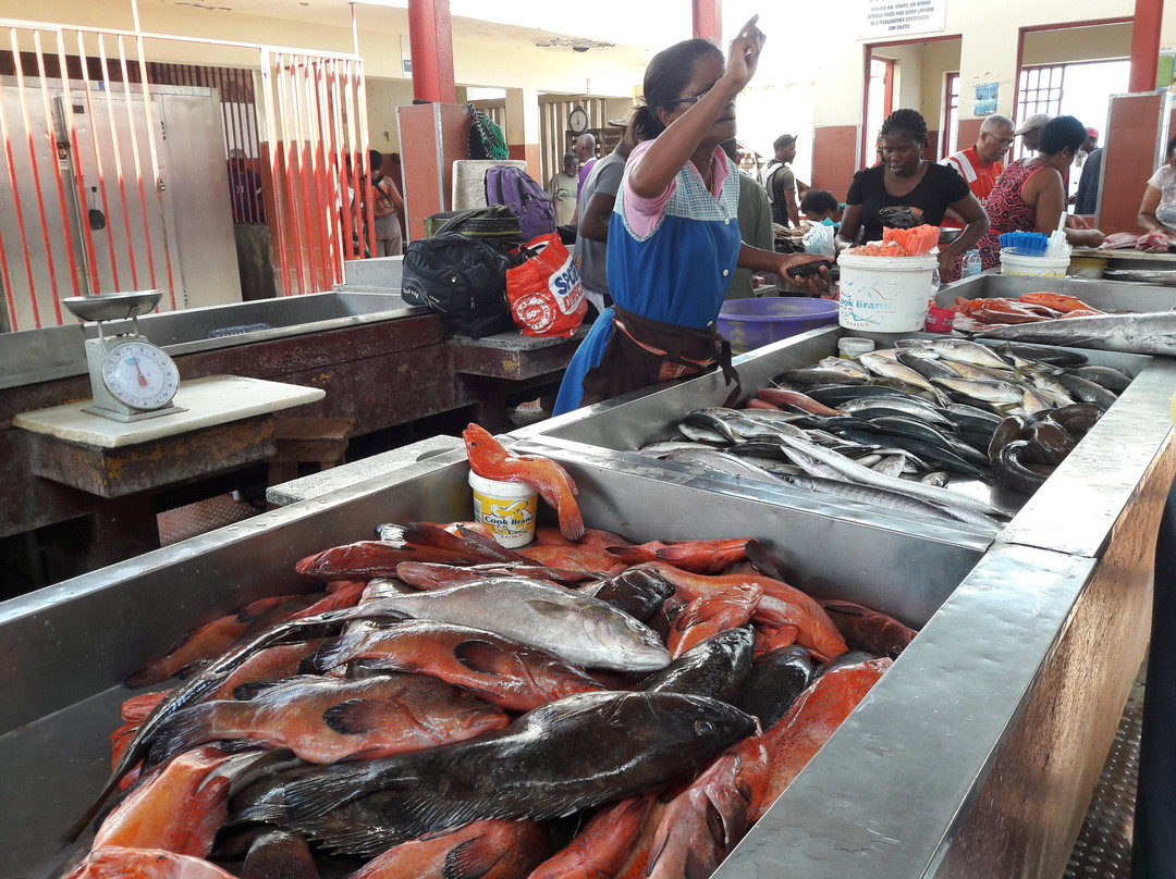 Mercado de Peixe景点图片