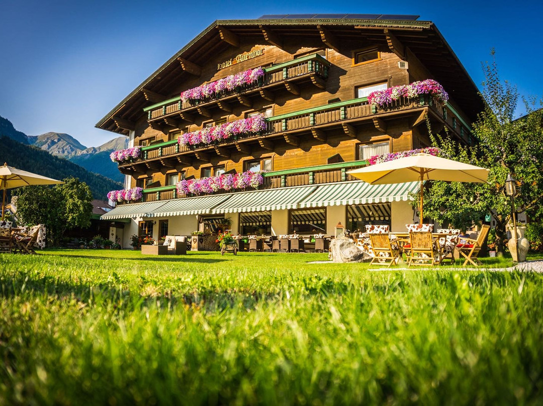 Auenhof Familien & Vitalhotel主图