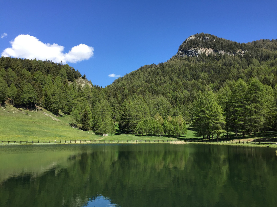 Col de Joux景点图片