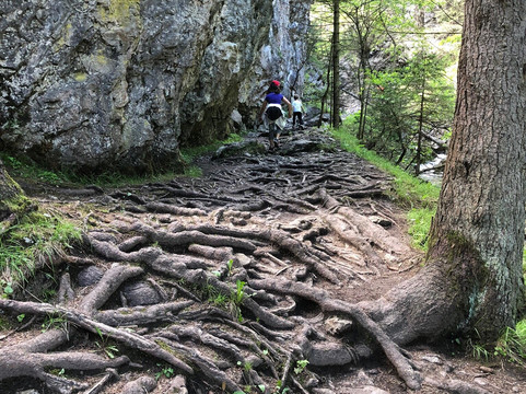 Okruh Prosieckou a Kvačianskou dolinou-Prosiek必去景点