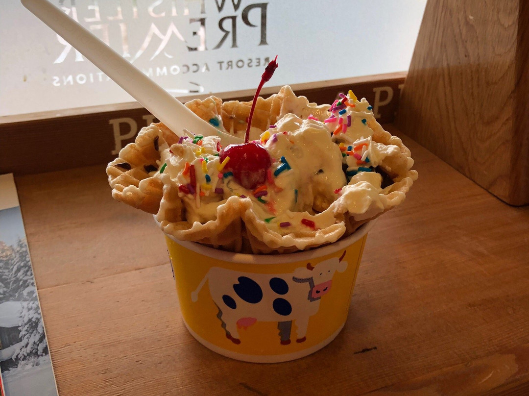 Whistler Visitor Centre-惠斯勒必去景点