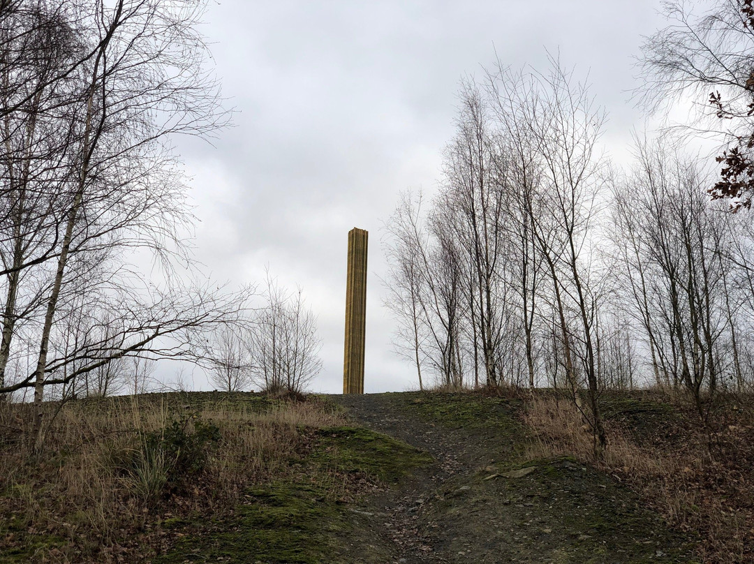 Pooley Country Park景点图片