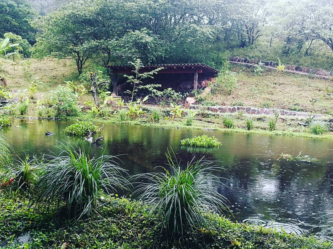 Aguti Monteverde - Wildlife Reserve-圣埃伦娜必去景点