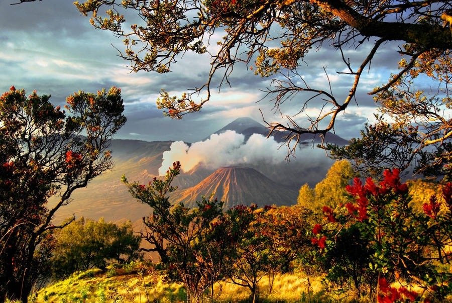 Bromo Ijen Tours Services-巴纽旺宣必去景点