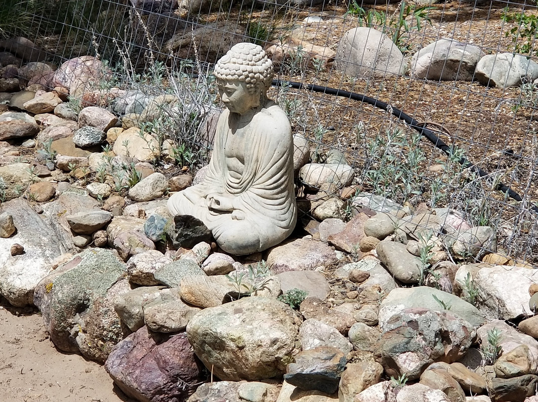 Saguache酒店住宿-I Am Harmony Bed and Breakfast