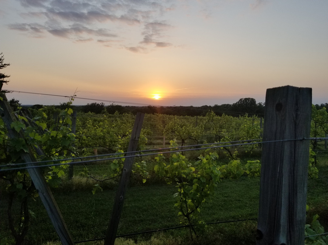 Tres Suenos Winery-Luther必去景点