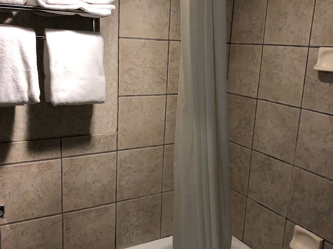 Bismarck Hotel and Conference Center主图