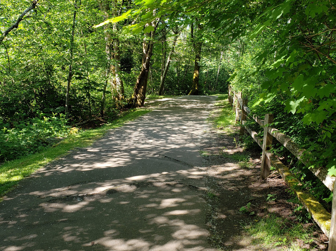 Wallace Swamp Creek Park-Kenmore必去景点