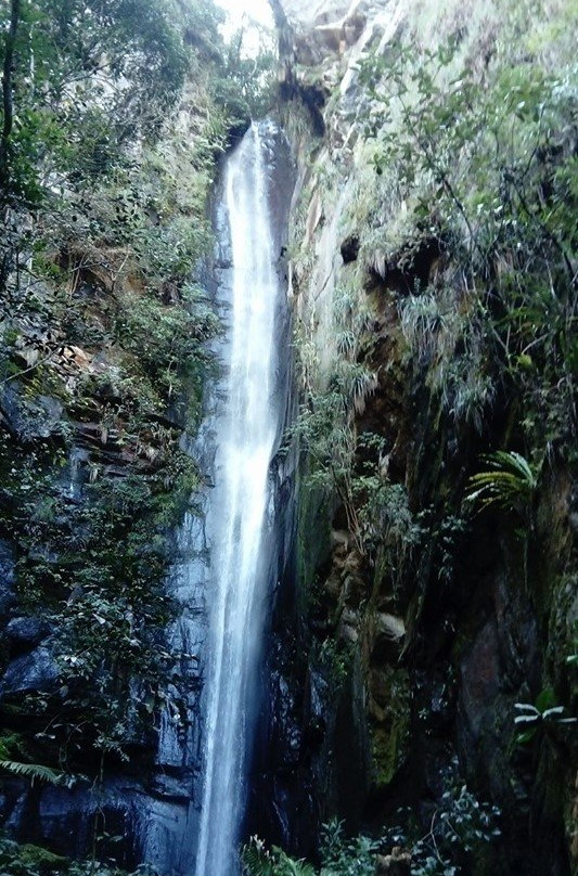 Cochapata Lodge主图