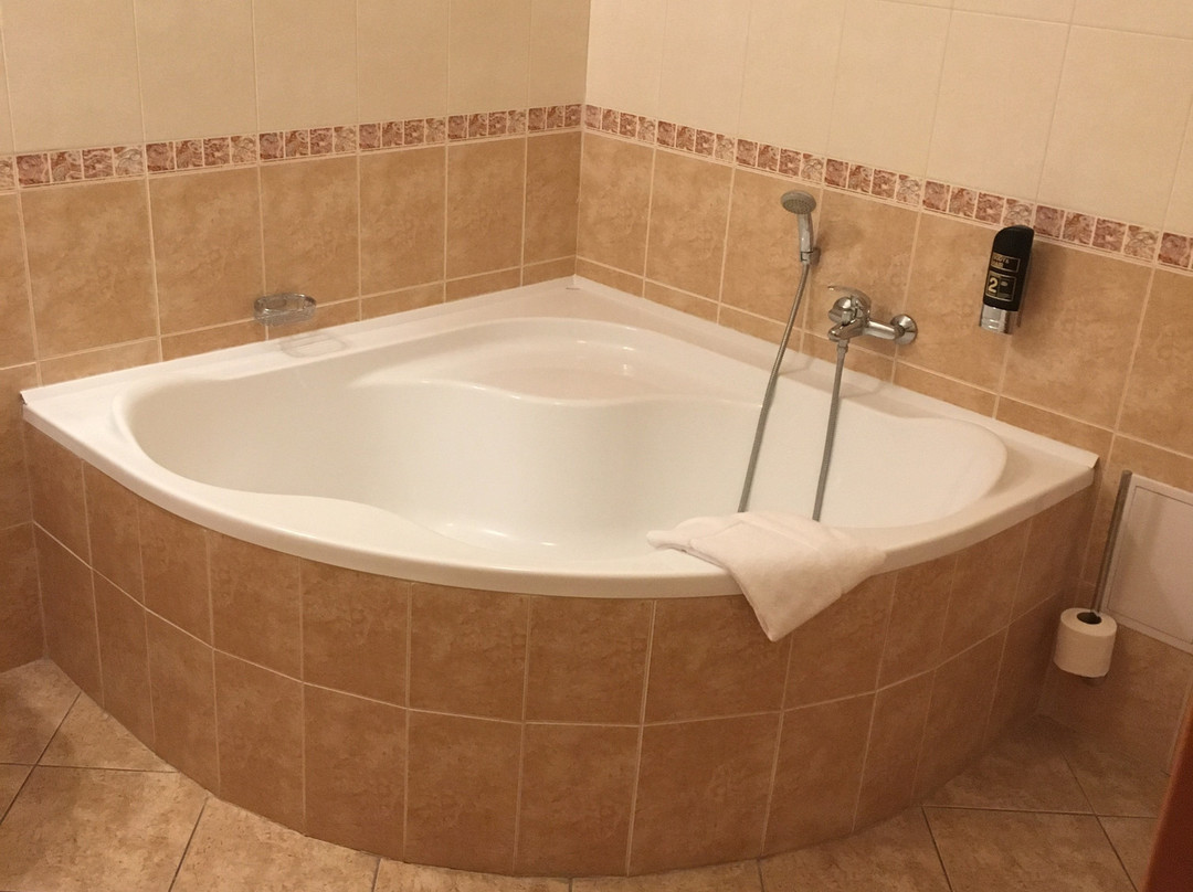 Hotel Ceske Zleby主图