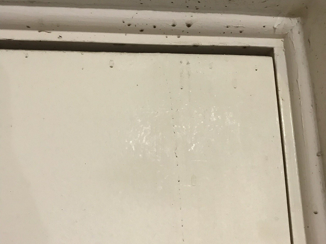 Timbertown Resort & Motel主图