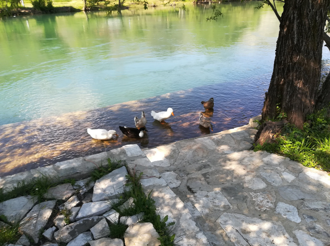 2024 9 Buna Buna Buna 2024 9 Buna Buna Buna