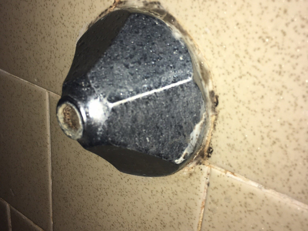 Safari Motor Inn - Joshua Tree主图