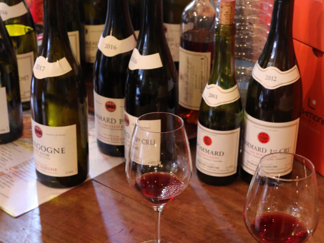 Domaine LEJEUNE - POMMARD景点图片
